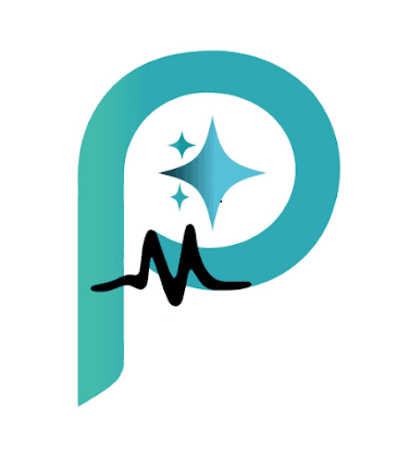 PALMédico AI Chat